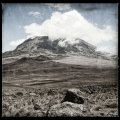 Kilimanjaro