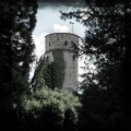 Burgruine Hohennagold