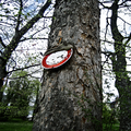 09