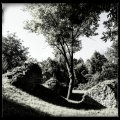 Ruine Lomersheim (Rotenburg)