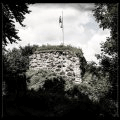 Ruine Salmendingen (Altes Schloß)