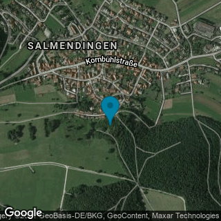 Ruine Salmendingen (Altes Schloß)