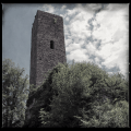 Burg Scharfenberg/Münz