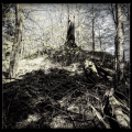 Ruine Straubenhardt