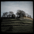 Burgruine Weibertreu