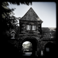 Schloss Zingst - Querfurt