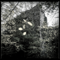 Ruine Zuzenhausen